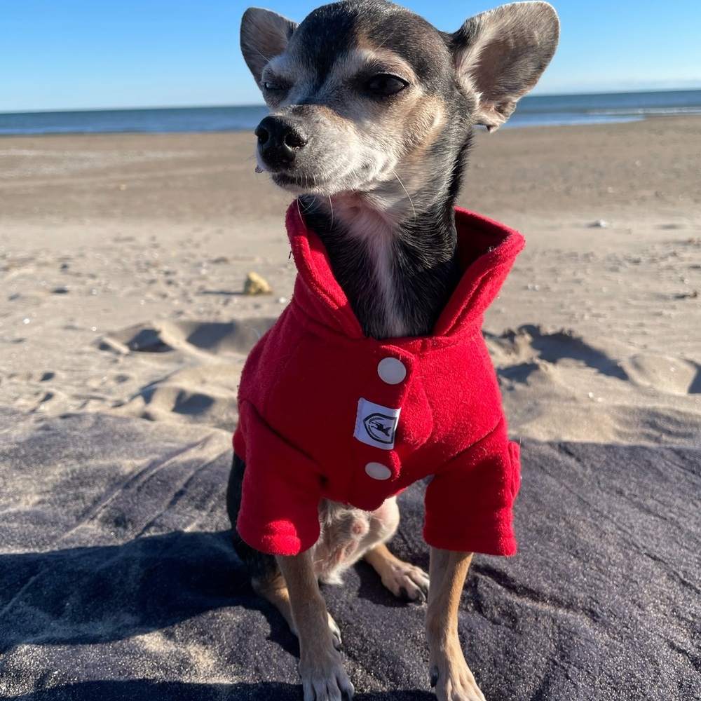 NWT Dog Red Sweatshirt